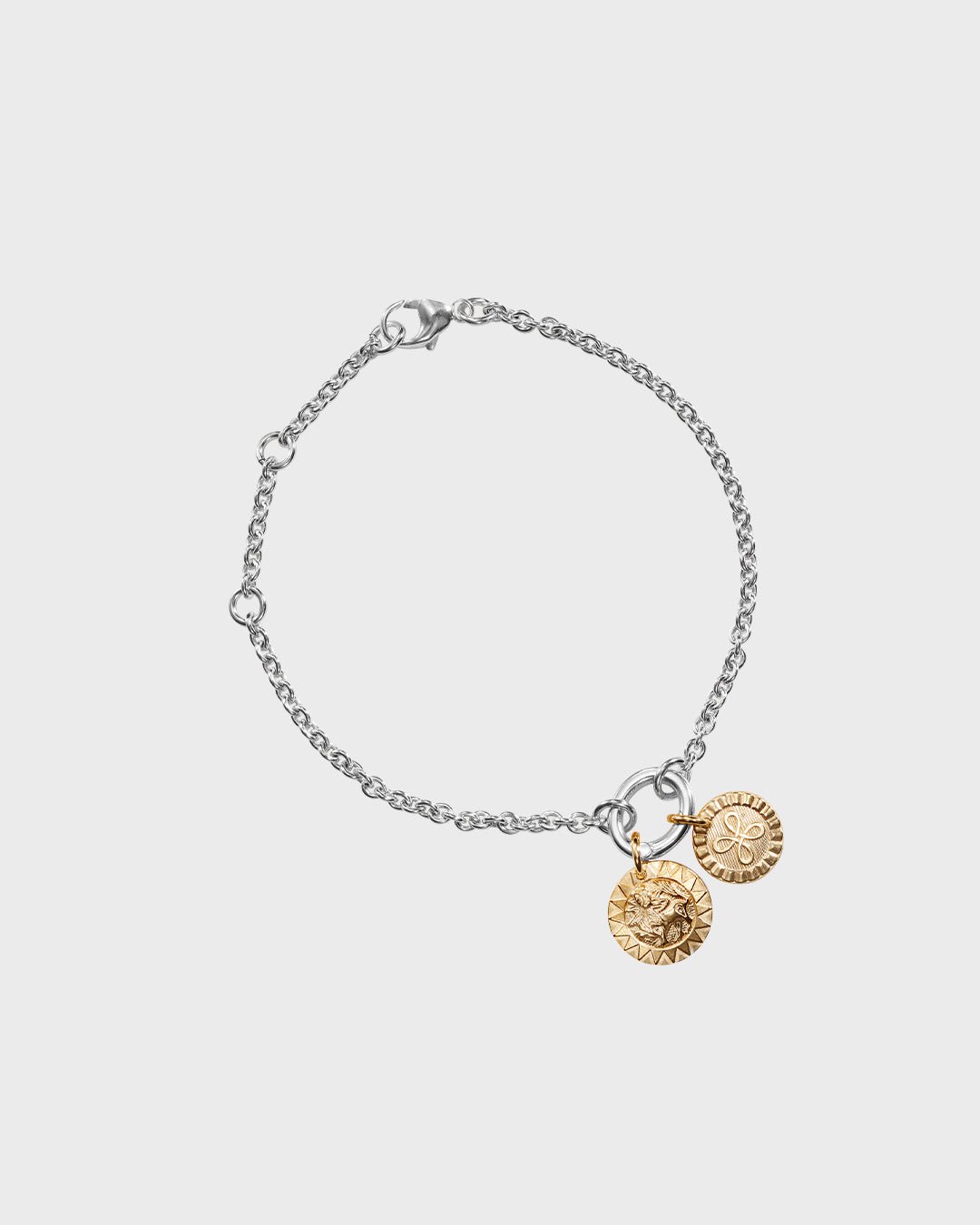 Teljänneito ブロンズミニチャーム