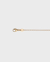Oval Pea Chain 14K gold 42, 45 or 50 cm